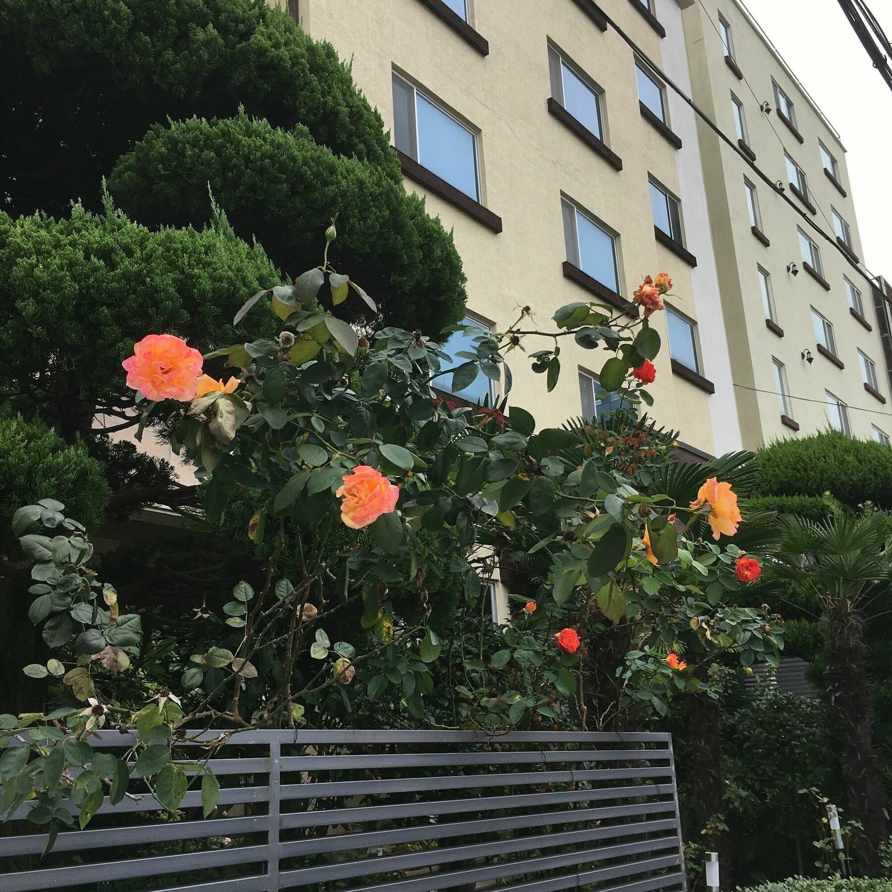 Charmant Hotel Mokpo Zewnętrze zdjęcie